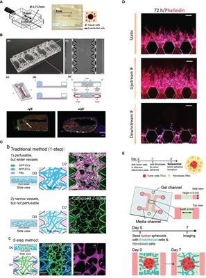 Recent advances in vascularized tumor-on-a-chip